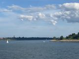 IMG_4931.jpg