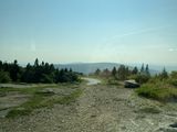 IMG_5295.JPG