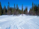 DJI_0116.jpg