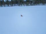 DJI_0255.jpg