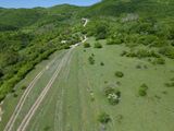 DJI_0310.jpg