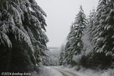 Coburg Hills - Scene 1