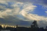 Evening Sky