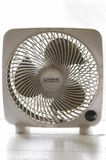 I Am a Big Fan