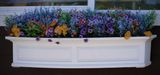 Window Box at Hillbilly Brew