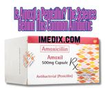 Is Amoxil a Penicillin? The Science Behind This Common Antibiotic