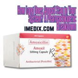 How Long Does Amoxil Stay in Your System? A Pharmacokinetic Breakdown