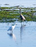 Bodega Bay  & The Sonoma Coast