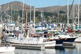 Bodega Bay  & The Sonoma Coast
