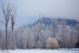 Lumby Farmland