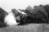 Big Boy 4014.jpg