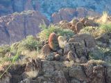 DSCN0158.JPG