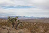 Between Randsburg and Ridgecrest, in the Mojave Desert, California 