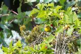 20130609-163902-K52S0355.JPG