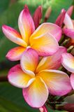 20160515-164727-K52B0117.JPG