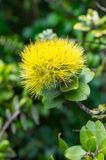 20170408-121608-K52B0047.JPG