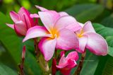20190707-162827-K52B0152.JPG