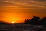 20211111-064159-K33A0089.JPG