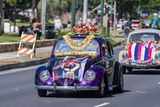 20240928-1_80 mm).JPG