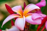 20170507-091913-K52B0175.JPG