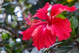 20240505-155246-K33A0100-Enhanced-NR-1.JPG
