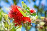 20190714-142858-K52B0011.JPG