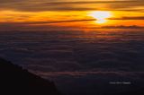 20130611-054556-K5_A0050.JPG