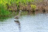 20170514-130136-K52S0146.JPG