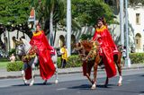20150613-094609-K52B0490.JPG