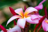20170507-091915-K52B0176.JPG