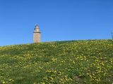 Torre de Hrcules
