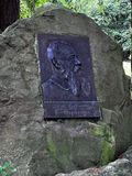 IMG_2136.jpeg