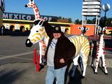 IMG_0270.jpeg