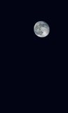 IMG_4204.JPEG