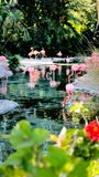 IMG_4302.JPEG