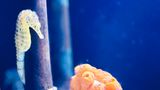 IMG_4384.JPEG