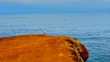 IMG_4504.JPEG