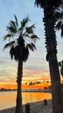 IMG_4665.JPEG