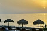 IMG_1700.JPEG