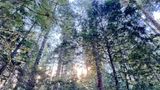 IMG_5230.JPEG