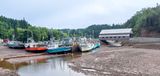 Bay of Fundy 2.jpg