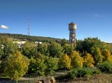 Fall colours