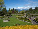 Rose garden on UBC campus