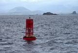 Sea lions resting on a buoy