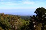EXCURSION TO MT ETNA