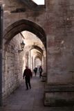 Winchester Cathedral