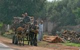 Marrakesch_Zagora1.jpg