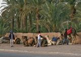 Marrakesch_Zagora29.jpg