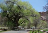 On the Road162.jpg