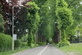 De Bilt bei Utrecht nach Arnheim10.jpg
